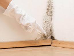 Nashville, IN Mold Removal Company